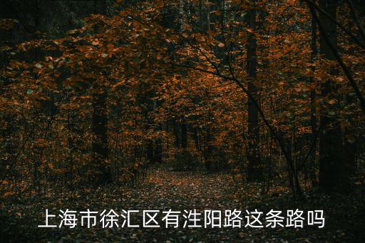 上海市徐匯區有泩陽路這條路嗎