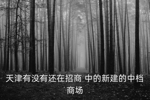 天津有沒有還在招商 中的新建的中檔商場