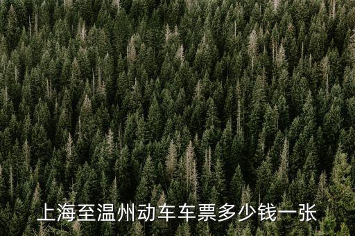 上海至溫州動車車票多少錢一張