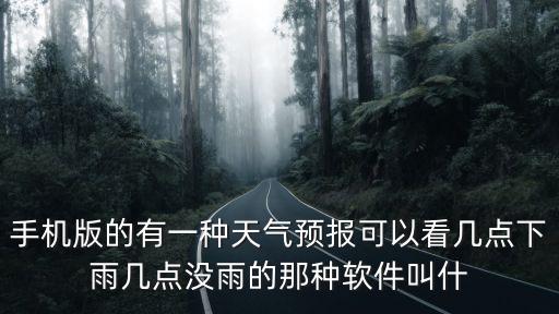 手機版的有一種天氣預報可以看幾點下雨幾點沒雨的那種軟件叫什