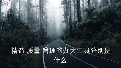  精益 質(zhì)量 管理的九大工具分別是什么