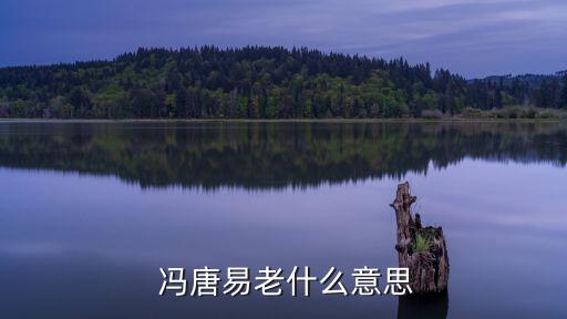 馮唐易老,唐唐易老，李廣難封出自唐詩