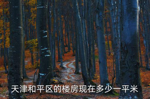 天津和平區的樓房現在多少一平米