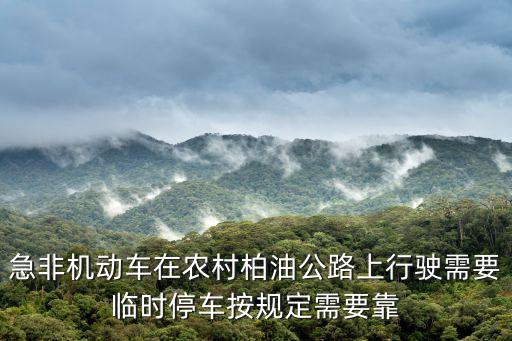 急非機(jī)動(dòng)車在農(nóng)村柏油公路上行駛需要臨時(shí)停車按規(guī)定需要靠