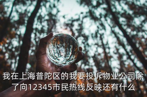 我在上海普陀區的我要投訴物業公司除了向12345市民熱線反映還有什么