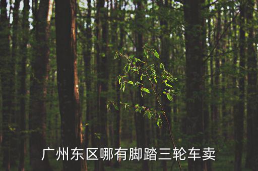 廣州東區(qū)哪有腳踏三輪車賣