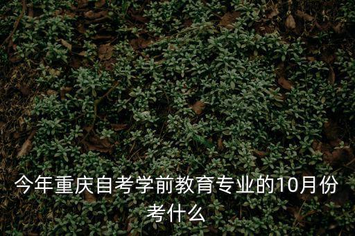 今年重慶自考學前教育專業的10月份考什么