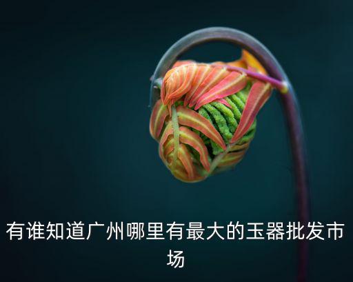 有誰知道廣州哪里有最大的玉器批發(fā)市場
