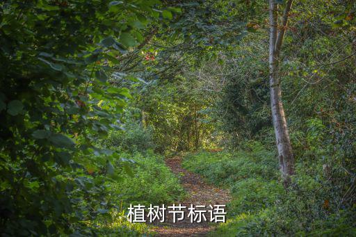 植樹標語，種樹寫上什么標語