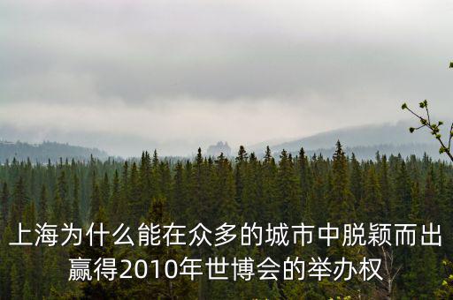 上海為什么能在眾多的城市中脫穎而出贏得2010年世博會的舉辦權