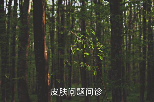 皮膚問題問診