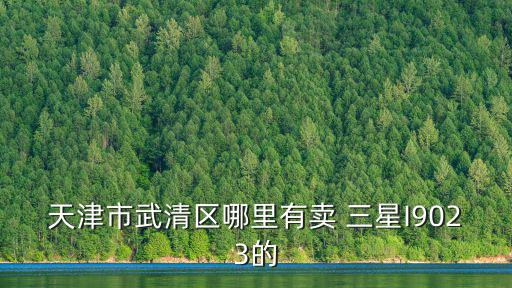 天津市武清區(qū)哪里有賣 三星I9023的