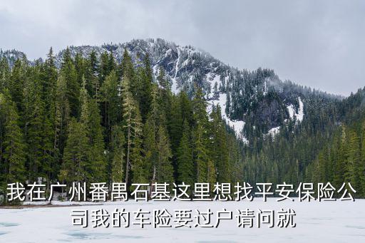 廣東省廣州市石基四中的保險單，查詢粵c4c426的保險單