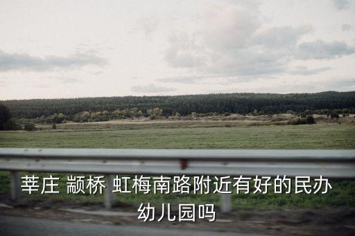 莘莊 顓橋 虹梅南路附近有好的民辦幼兒園嗎