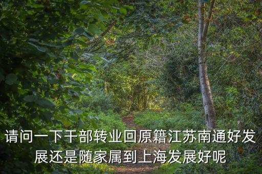 請問一下干部轉業(yè)回原籍江蘇南通好發(fā)展還是隨家屬到上海發(fā)展好呢
