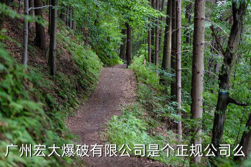 廣州宏大爆破有限公司是個正規公司么