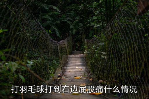 打羽毛球打到右邊屁股痛什么情況
