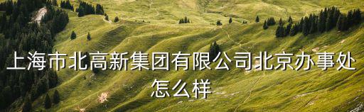 上海市北高新集團有限公司北京辦事處怎么樣