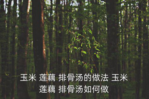  玉米 蓮藕 排骨湯的做法 玉米 蓮藕 排骨湯如何做
