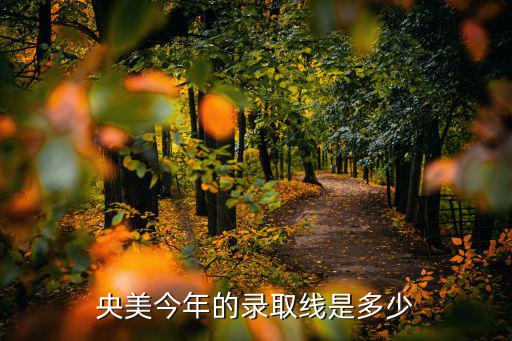央美今年的錄取線是多少