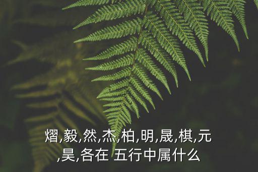 熠,毅,然,杰,柏,明,晟,棋,元,昊,各在 五行中屬什么