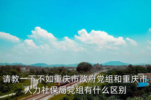 請教一下不如重慶市政府黨組和重慶市人力社保局黨組有什么區別