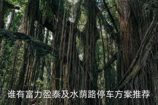 誰有富力盈泰及水蔭路停車方案推薦