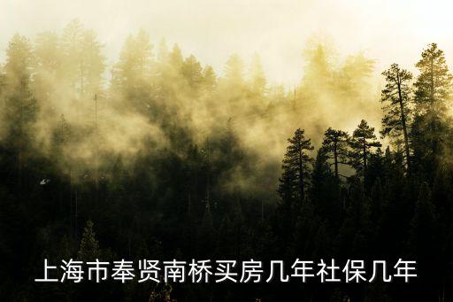 上海市奉賢南橋買房幾年社保幾年