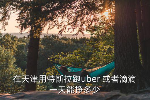 在天津用特斯拉跑uber 或者滴滴一天能掙多少