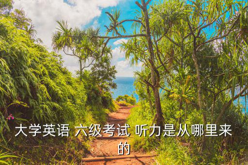 六級聽力原文,武漢出現第一起確診病例