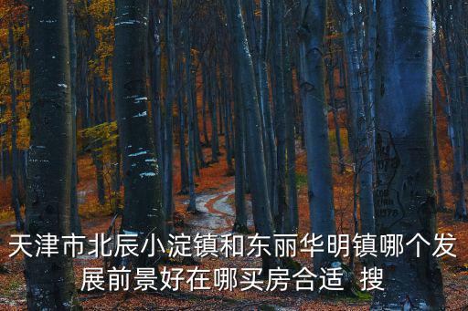 天津市北辰小淀未來有潛力嗎，天津高鐵站有去北辰區小淀村方向的地鐵嗎