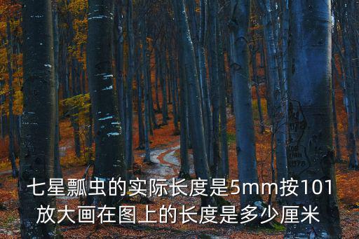 畫七星瓢蟲，七星瓢蟲的實際長度是5mm按101放大畫在圖上的長度是多少厘米