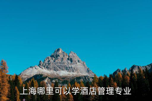 上海哪里可以學酒店管理專業