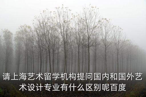 請(qǐng)上海藝術(shù)留學(xué)機(jī)構(gòu)提問(wèn)國(guó)內(nèi)和國(guó)外藝術(shù)設(shè)計(jì)專業(yè)有什么區(qū)別呢百度