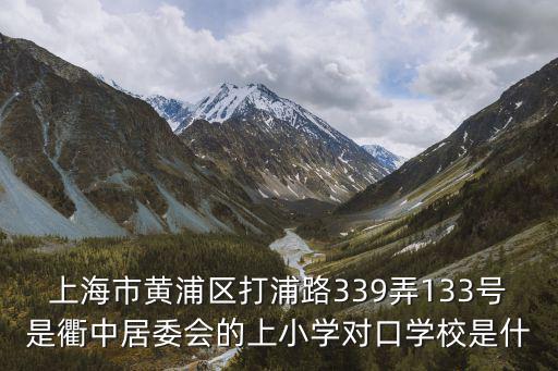 上海市黃浦區打浦路339弄133號是衢中居委會的上小學對口學校是什