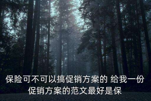 保險(xiǎn)可不可以搞促銷方案的 給我一份促銷方案的范文最好是保