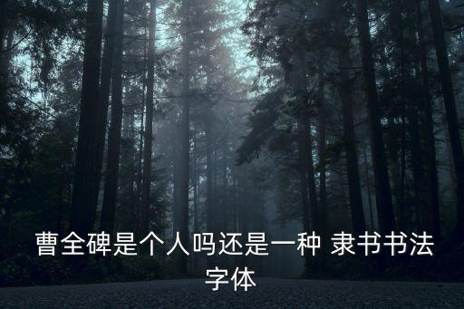 隸書曹全碑,曹全碑記錄曹權在合陽縣的家世和生活