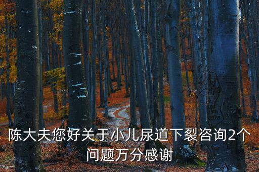 陳大夫您好關于小兒尿道下裂咨詢2個問題萬分感謝