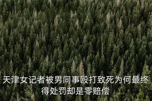 天津女記者被男同事毆打致死為何最終得處罰卻是零賠償