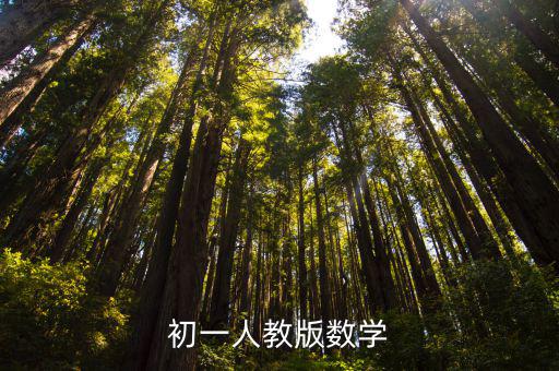 初一數學人教版，人教版初一數學