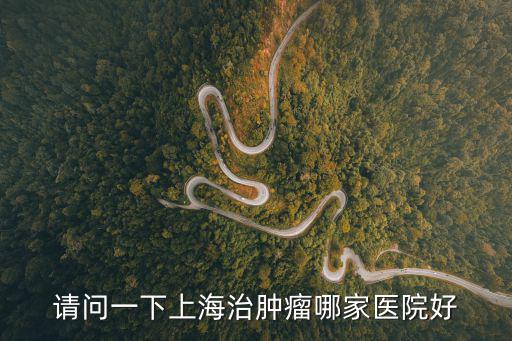 請問一下上海治腫瘤哪家醫院好