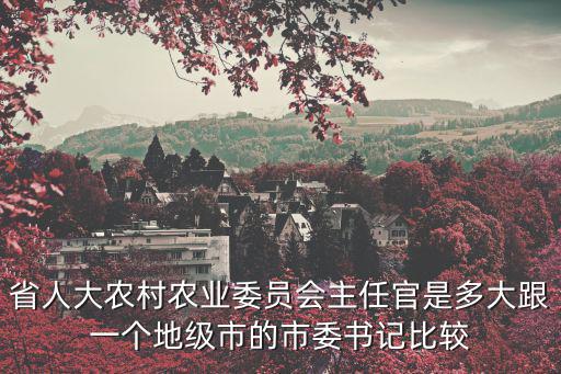 省人大農(nóng)村農(nóng)業(yè)委員會(huì)主任官是多大跟一個(gè)地級市的市委書記比較
