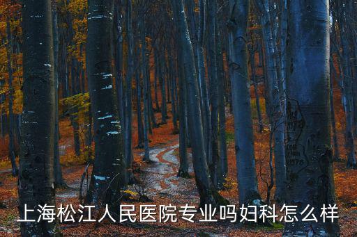 上海松江人民醫(yī)院專業(yè)嗎婦科怎么樣