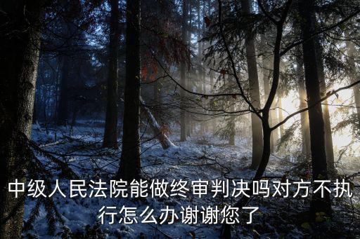 中級人民法院能做終審判決嗎對方不執行怎么辦謝謝您了