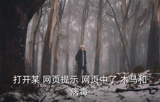網(wǎng)頁(yè)木馬,惡意代碼通過網(wǎng)絡(luò)誘餌傳播讓用戶電腦感染病毒