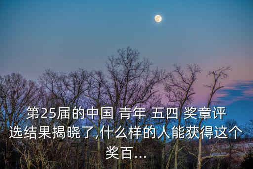 五四青年獎章,中國青年五四獎章授予中國14-40周歲優秀