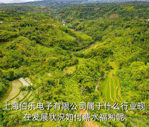 上海伯樂電子有限公司屬于什么行業現在發展狀況如何薪水福利呢
