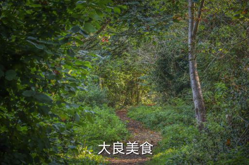  大良美食