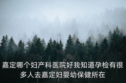 上海市嘉定區(qū)哪個(gè)產(chǎn)科醫(yī)院好，嘉定哪個(gè)婦產(chǎn)科醫(yī)院好我知道孕檢有很多人去嘉定婦嬰幼保健所在