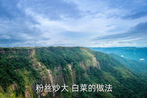 粉絲炒大 白菜的做法